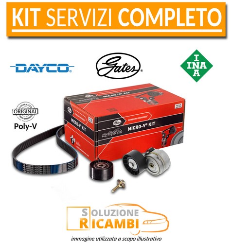 Kit cinghia servizi peugeot - cinghia,