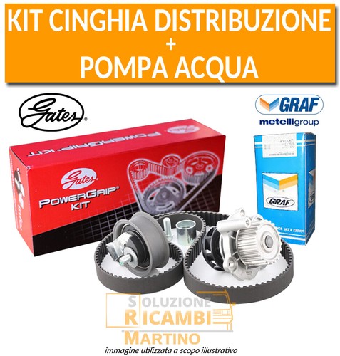 Kit cinghia distribuzione - cinghia,