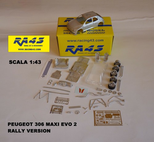 Peugeot 306 maxi rally - 1/43,